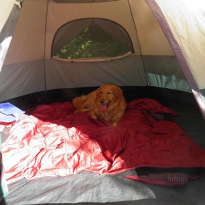 August2016-camping2.jpg