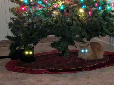 aliens under the tree.jpg