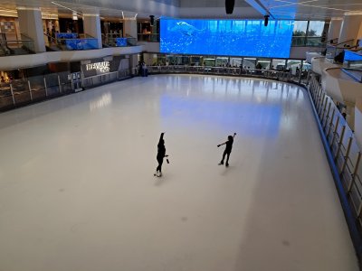 rink.jpg