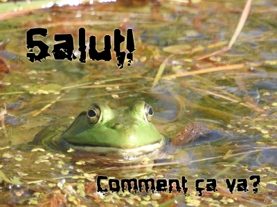 salut.png