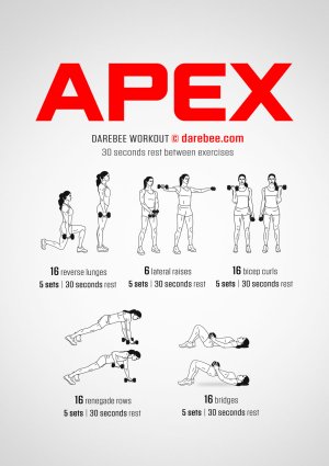apex-workout.jpg