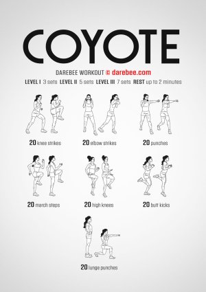 coyote-workout.jpg