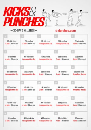 kicks-and-punches-challenge.jpg