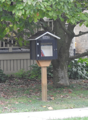 FreeLibrary.png