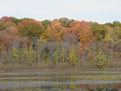 10-22-fallcolours.png