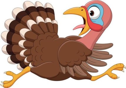 cartoon-funny-turkey-bird-running-free-vector.jpg