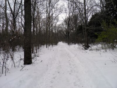 trail.jpg