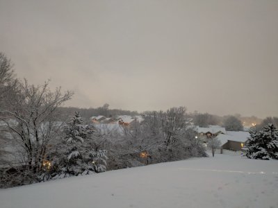 1-10-25 Snow.jpg