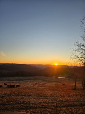 Cabin View.jpg