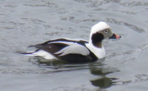 P2230345.JPG