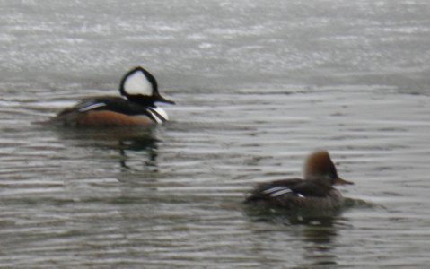 P2230353.JPG