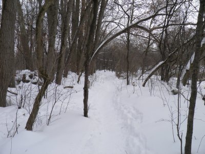 trail.jpg