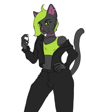 Don't Cross a Black Cat - Image Only.png