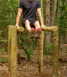 Tricep dips.jpg