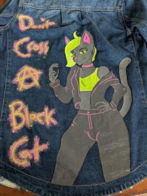 Don't Cross a Black Cat - Jacket.jpg