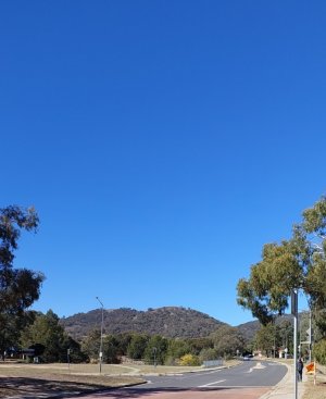 20250503_215751.jpg