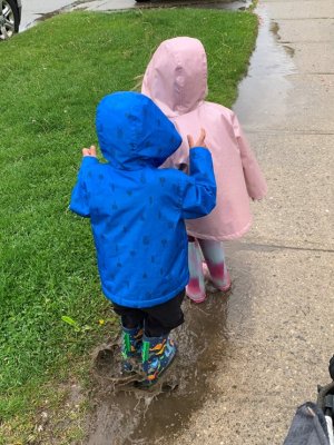 puddles.jpg
