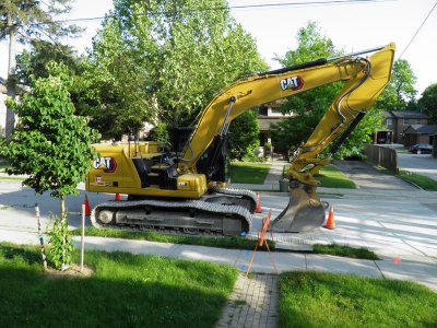 neighbour.jpg neighbour.jpg
