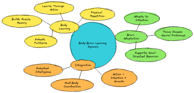 Body-learns-action-Brain-Intention.png