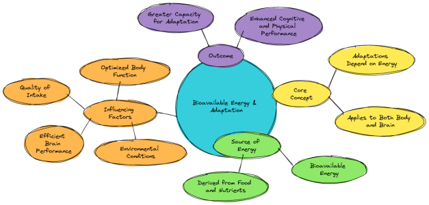 Bioavailable-energy.png