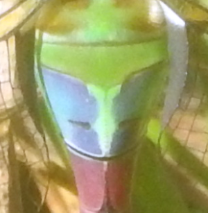 darner-S2.png