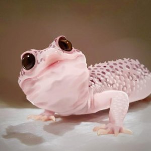 Screenshot 2025-09-06 113346.png