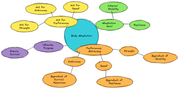 Cause-Of-Adaptation.png