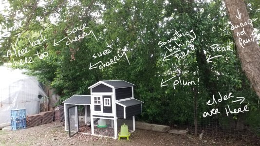 20251026_192444.jpg
