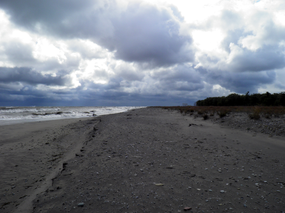 beach.png