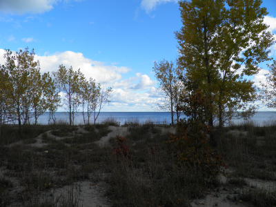 dunes.png