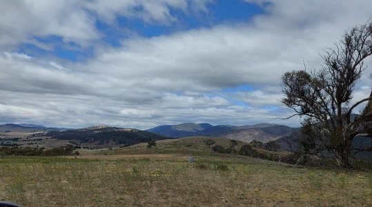 20251109_111336(1).jpg