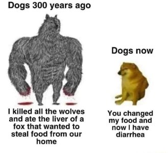 9k=(1).jpg