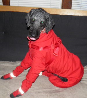 SantaSuit.png