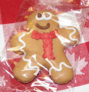 GingerMan.png