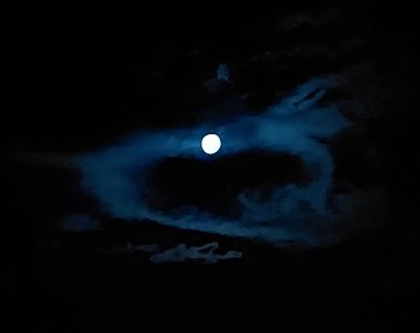 20260131_211703(1).jpg