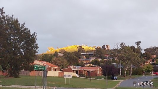 20260405_063400.jpg