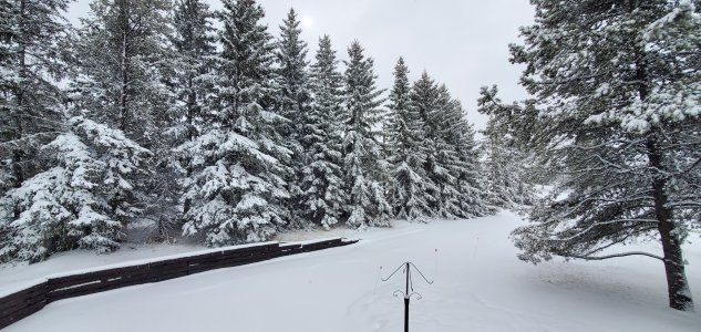 snow02.jpg