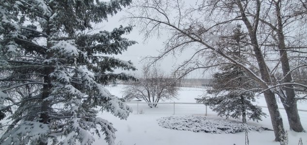 snow01.jpg