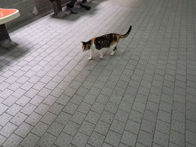 20260424_140422.jpg