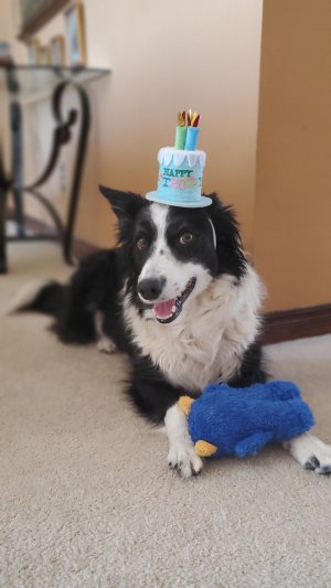 Syn'r's 5th bday.jpg