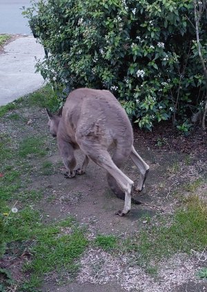 20260623_170141.jpg