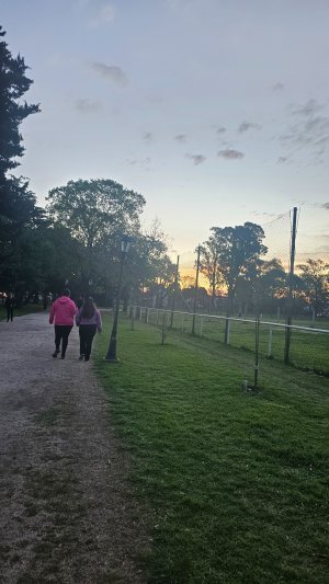 1000510690.jpg