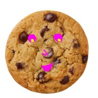 RVAgirl<3scookies