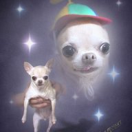 Рыря