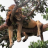 lazy_lion